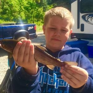 Meet your Posher, Noah